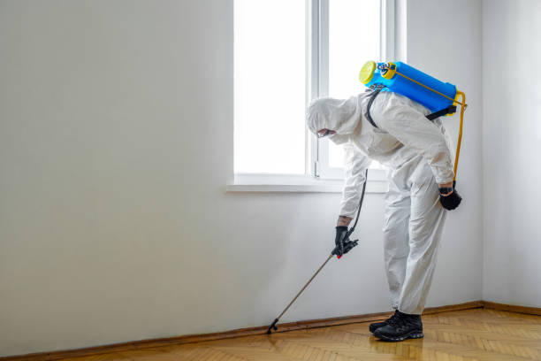 Best Emergency Pest Control  in The Hammocks, FL
