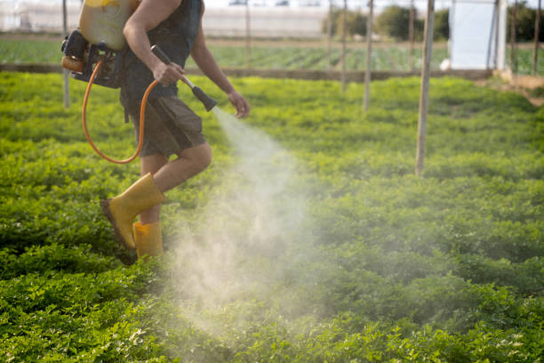 Best Affordable Pest Control Services  in The Hammocks, FL