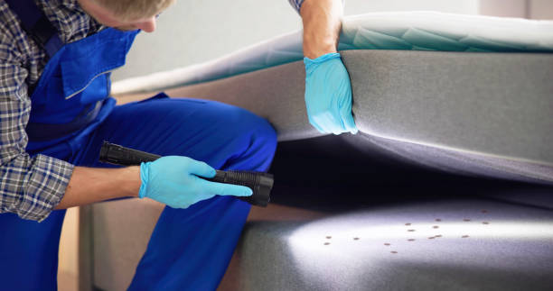 Best Cockroach Control Services  in The Hammocks, FL