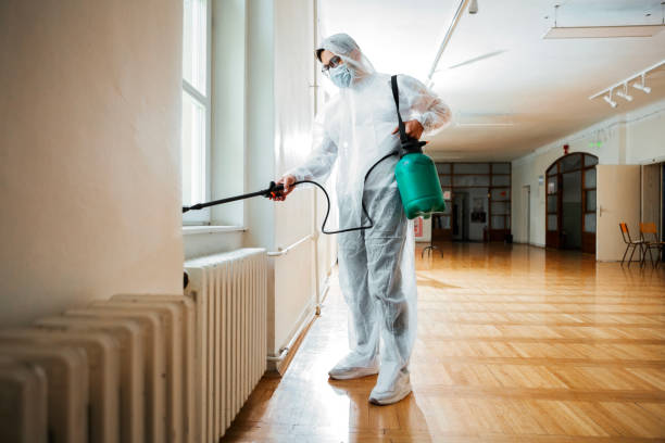 Best Pest Control Near Me in The Hammocks, FL