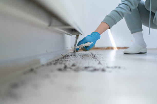 Best Wildlife Control Services  in The Hammocks, FL